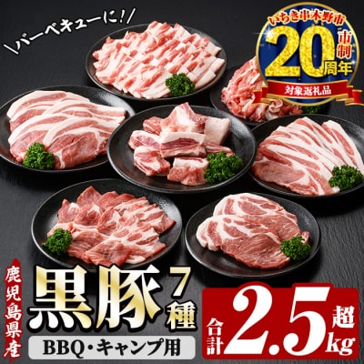 【家計応援】鹿児島県産!恵味の黒豚 BBQ・キャンプ用セット(7種・合計2.5kg超!) 