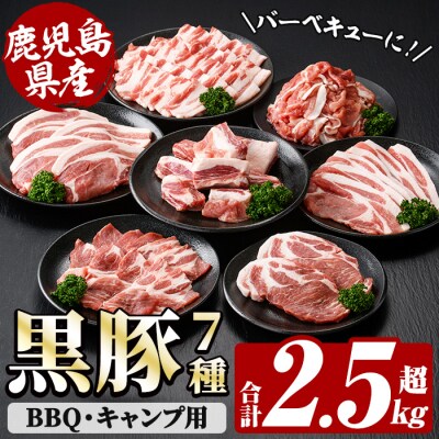 鹿児島県産!恵味の黒豚 BBQ・キャンプ用セット(7種・合計2.5kg超!) 