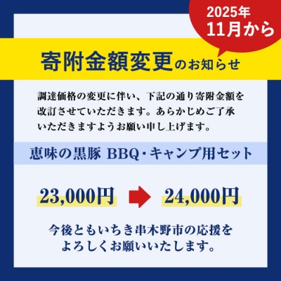 【家計応援】鹿児島県産!恵味の黒豚 BBQ・キャンプ用セット(7種・合計2.5kg超!) 