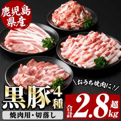 鹿児島県産!恵味の黒豚 焼肉+切落しセット (4種・合計2.8kg超!)