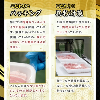鹿児島県産!恵味の黒豚 焼肉+切落しセット (4種・合計2.8kg超!)