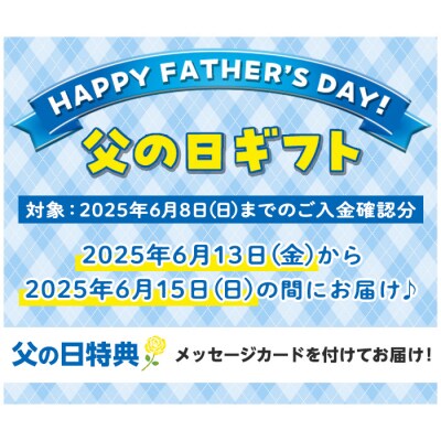 <父の日 ギフト>手肌用泡タイプの洗浄液(泡ボトル500ml+詰替用500ml+携帯用50ml)