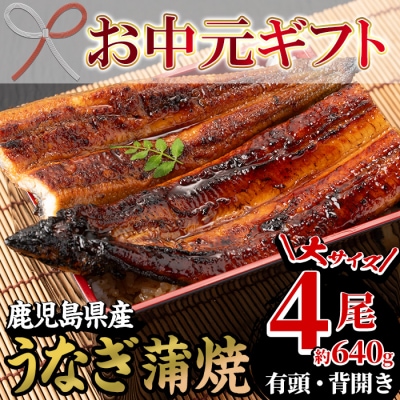 【令和7年お中元対応】国産 鹿児島県産 うなぎ 蒲焼 4尾 大 計約640g