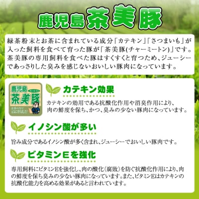 【令和7年お中元期間限定】鹿児島県産 茶美豚のハムセット(C-25) 