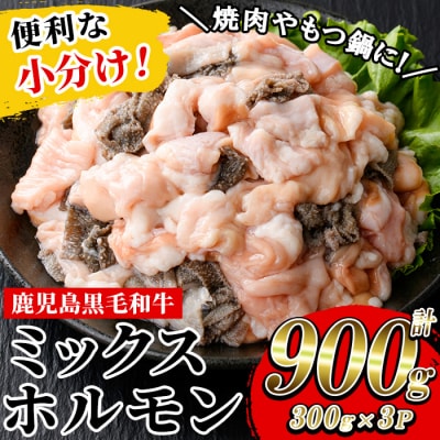 鹿児島県産 黒毛和牛 ミックスホルモン 900g(300g×3P)