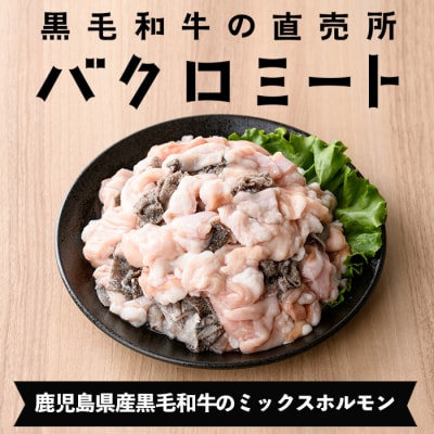 鹿児島県産 黒毛和牛 ミックスホルモン 900g(300g×3P)