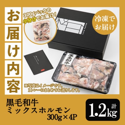 <数量・期間限定>鹿児島県産黒毛和牛ミックスホルモン 1,200g(300g×4P)