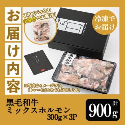 鹿児島県産 黒毛和牛 ミックスホルモン 900g(300g×3P)