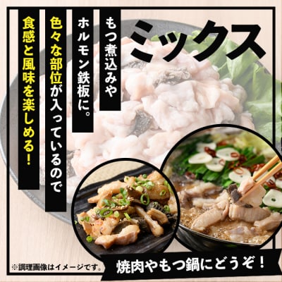 <数量・期間限定>鹿児島県産黒毛和牛ミックスホルモン 1,200g(300g×4P)
