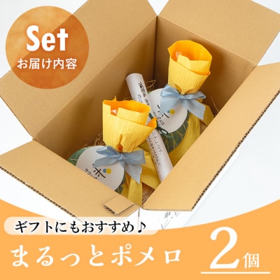 【令和7年お中元対応】 まるっとポメロ2個セット サワーポメロ使用のバウムクーヘン!