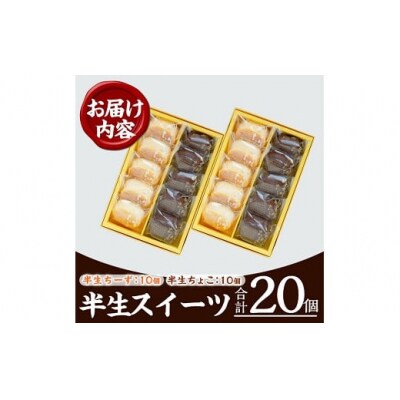 【令和7年お中元対応】ふわっふわのスフレタイプのプチケーキ!半生チーズ・半生ちょこ詰合せ