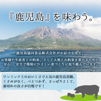【令和7年お中元期間限定】鹿児島黒豚 炭火焼豚 900g(225g×4本セット)