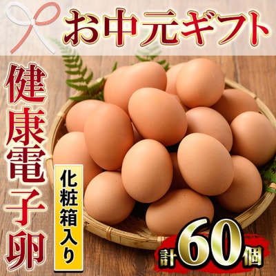 【令和7年お中元対応】鹿児島県産!健康電子卵 赤卵L (計60個・10個入り×6P)