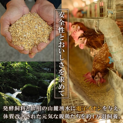 【令和7年お中元対応】鹿児島県産!健康電子卵 赤卵L (計60個・10個入り×6P)