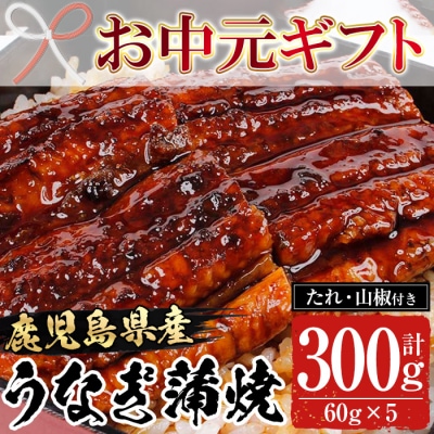 【令和7年お中元対応】鹿児島県産うなぎ蒲焼300g(60g×5袋)レンジ対応可 贈答 ギフト にも 