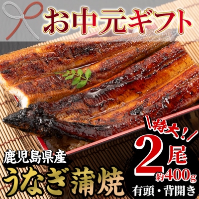 【お中元】国産 鹿児島県産 うなぎ  蒲焼 特大 2尾 約400g