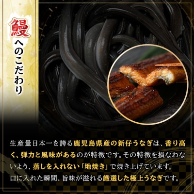 【令和7年お中元対応】国産 鹿児島県産 うなぎ  蒲焼 特大 2尾 約400g