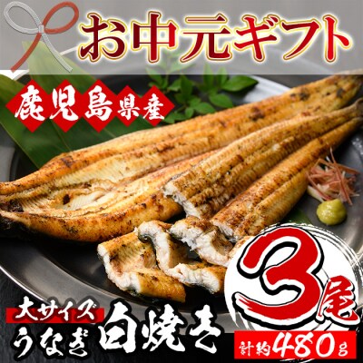 【お中元】国産 鹿児島県産 うなぎ 白焼き 大 3尾 約480g