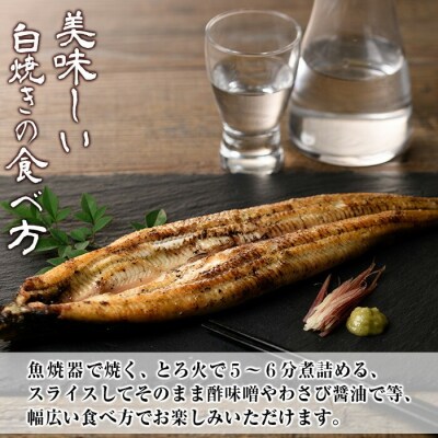 【お中元】国産 鹿児島県産 うなぎ 白焼き 大 3尾 約480g