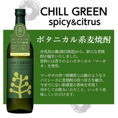 麦焼酎チルグリーン CHILL GREEN spicy&citrus 25度 720ml×4本セット