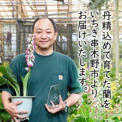 【個数限定】<3月末まで受付 >寿峰苑特選えびね蘭店主おすすめ開花済Aコース