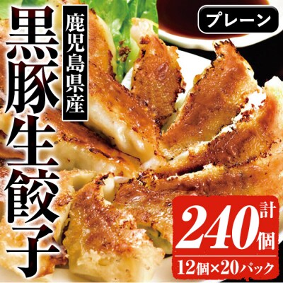 鹿児島黒豚生餃子 合計240個(12個×20P)タレ付き!国産野菜使用!