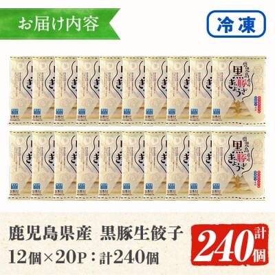 鹿児島黒豚生餃子 合計240個(12個×20P)タレ付き!国産野菜使用!
