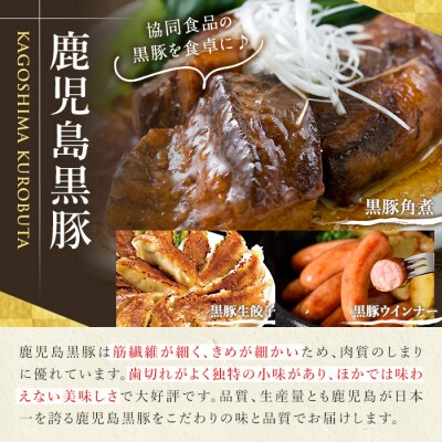 鹿児島黒豚生餃子 合計240個(12個×20P)タレ付き!国産野菜使用!
