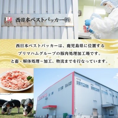 【家計応援】鹿児島県産 豚 こまぎれ セット 計2.9kg超え (363g×8パック)