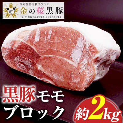 <塊肉>金の桜黒豚 モモ肉 ブロック 約2kg 鹿児島県産 黒豚 ブロック肉