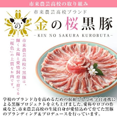 <塊肉>金の桜黒豚 モモ肉 ブロック 約2kg 鹿児島県産 黒豚 ブロック肉