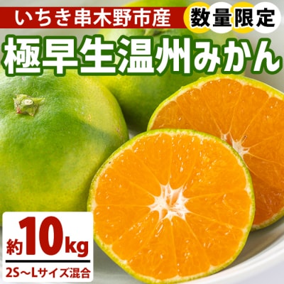 【数量・期間限定】極早生 温州みかん 10kg 箱満杯バラ詰め 2S～Lサイズ