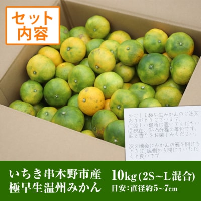 【数量・期間限定】極早生 温州みかん 10kg 箱満杯バラ詰め 2S～Lサイズ