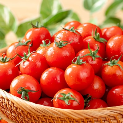 朝採れ ミニトマト 4kg 鹿児島県産