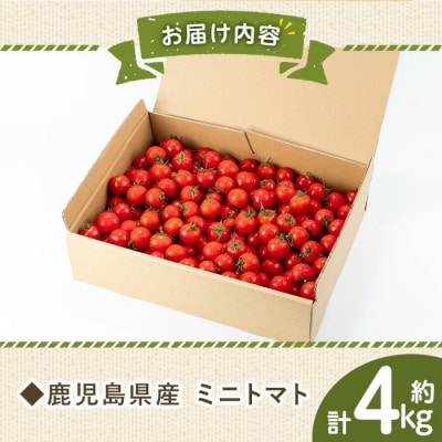 朝採れ ミニトマト 4kg 鹿児島県産