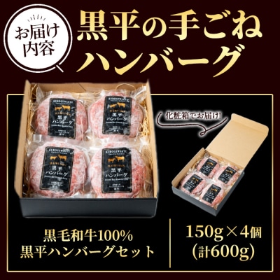鹿児島県産 黒毛和牛100% 黒平ハンバーグセット (150g×4個) 