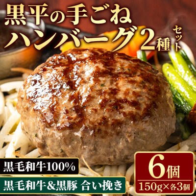 鹿児島県産黒毛和牛100%黒平ハンバーグ&黒豚の合い挽きふっくらハンバーグセット(150g×各3個)