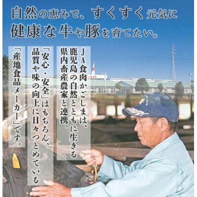 <数量・期間限定>鹿児島黒牛モモ切り落としセット 計900g(300g×3P)