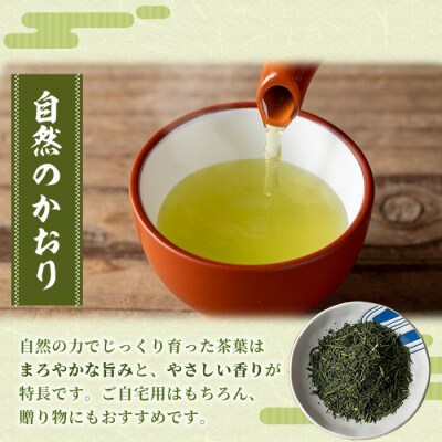 緑茶「自然のかおり 松」 茶葉 100g×3袋 有機栽培