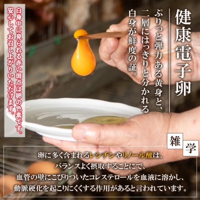 【令和7年お歳暮対応】健康電子卵 赤卵 Lサイズ 計60個 (10個入り×6P)