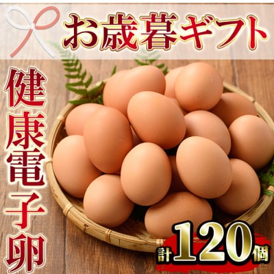 【令和7年お歳暮対応】鹿児島県産! 健康電子卵 赤卵 Lサイズ 計120個 (10個入り×12P)