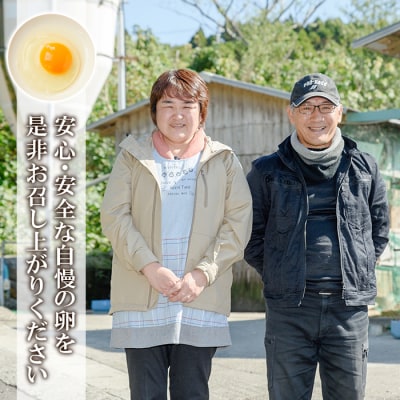 【令和7年お歳暮対応】鹿児島県産! 健康電子卵 赤卵 Lサイズ 計120個 (10個入り×12P)