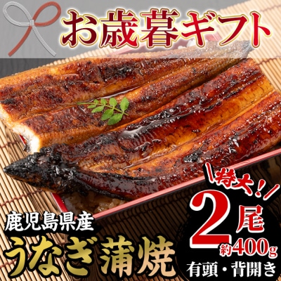 【令和7年お歳暮対応】厳選!(国産)鹿児島県産 うなぎ 蒲焼 特大 2尾(約400g)