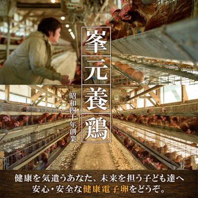 【令和7年お歳暮対応】健康電子卵 赤卵 Lサイズ 計80個 (10個入り×8P)