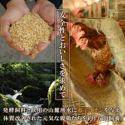 【令和7年お歳暮対応】健康電子卵 赤卵 Lサイズ 計80個 (10個入り×8P)