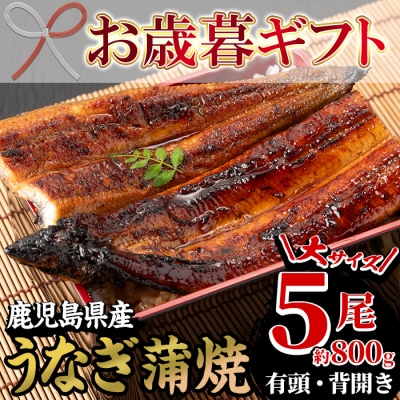 【令和7年お歳暮対応】厳選!国産(鹿児島県産)うなぎ蒲焼 大5尾 約800g