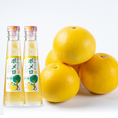 先行予約期間限定・数量限定　西果樹園のサワーポメロ(4玉)&まるごとポメロシロップ(165g×2本)