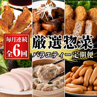 <新登場>【6か月定期便】鹿児島協同食品バラエティ定期便