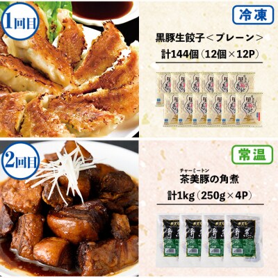 【6か月定期便】鹿児島協同食品バラエティ定期便