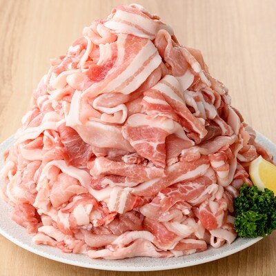 鹿児島県産 豚 こまぎれ 計2.5kg!(250g×10パック)冷凍 国産 真空 小分け